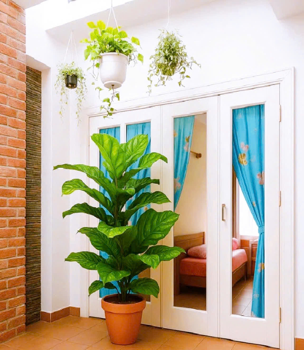 Bán nhà Cách Mạng Tháng Tám, QUẬN 3, DT 5.2 X 18 m, Hẻm xe hơi, Giá 25 tỷ - Ảnh 2